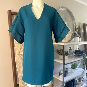 Copy cat Zara Ruffle Sleeve Dress